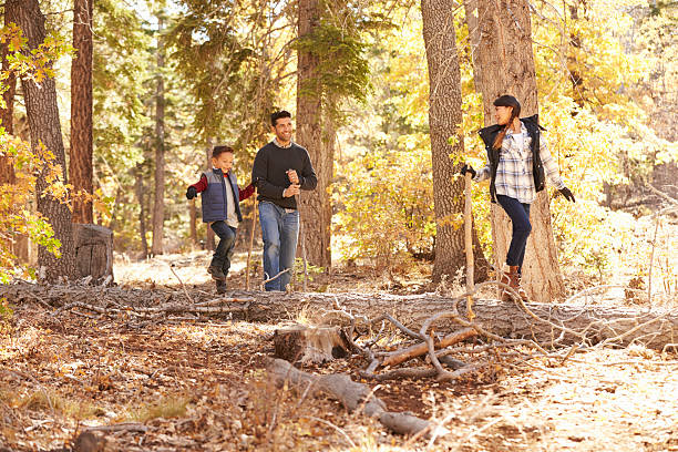 istock Girl balancing on tree in forest looks to father and 540095976
