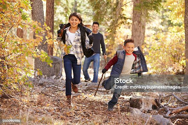 Bambini In Una Foresta Di Correre A Car Padre A Guardare - Fotografie stock e altre immagini di Famiglia