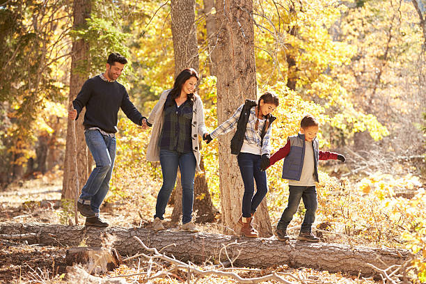 istock Happy family hold hands balancing on fallen tree in 540096000