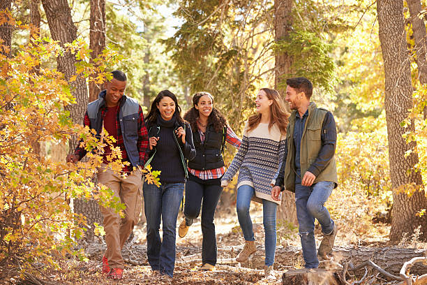 пяти друзей, наслаждаясь поход в лесу, калифорния, сша - women autumn beauty in nature smiling стоковые фото и изображения