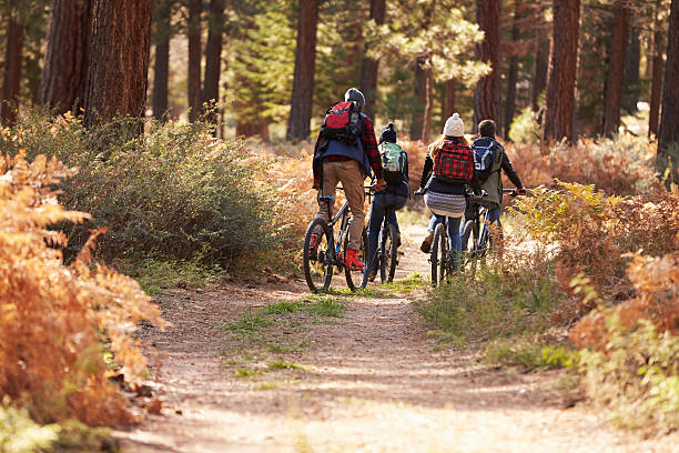istock Group of friends riding bikes on a forest trail, back 540096222