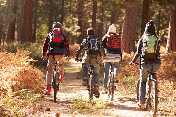 istock Group of friends riding bikes on a forest trail, back 540096224