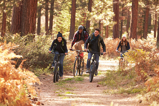 istock Group of friends riding bikes on a forest path, front 540096294