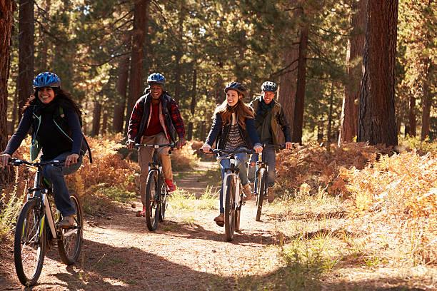 istock Group four friends in helmets riding bikes on a forest 540096328