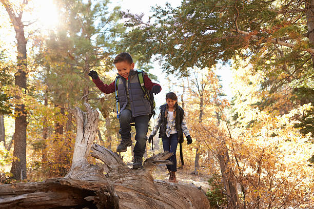 istock Brother and sister walking along a fallen tree in a forest 540096534