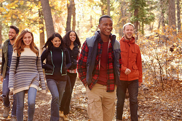 istock Group of six friends hiking together through a forest 540096600