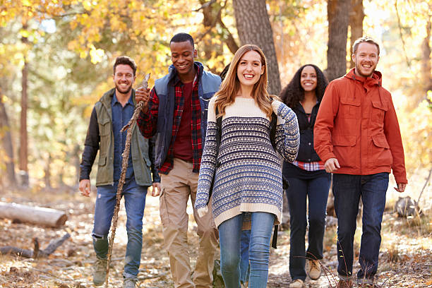 istock Group of happy friends hiking together through a forest 540096676