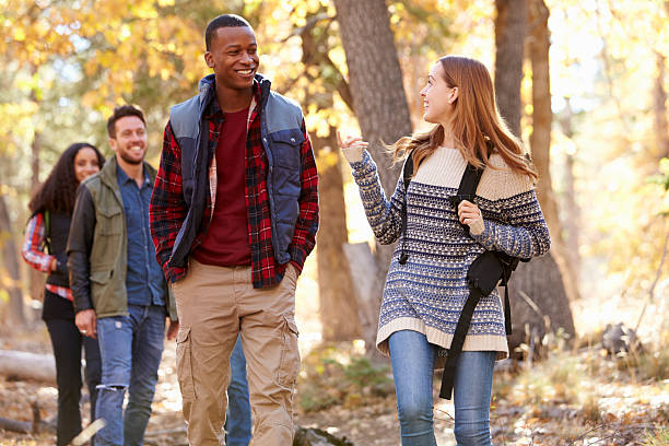 istock Four friends talking as they hike through a forest 540096682