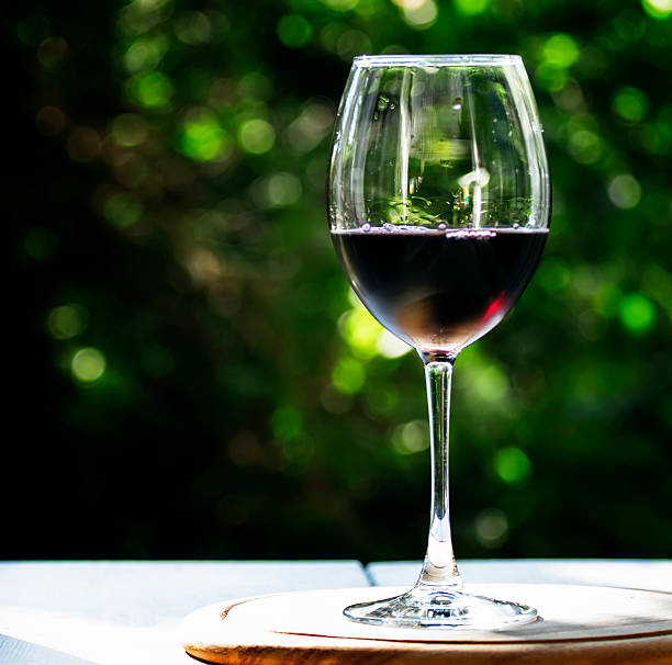 istock Glass of cold red wine 540098846