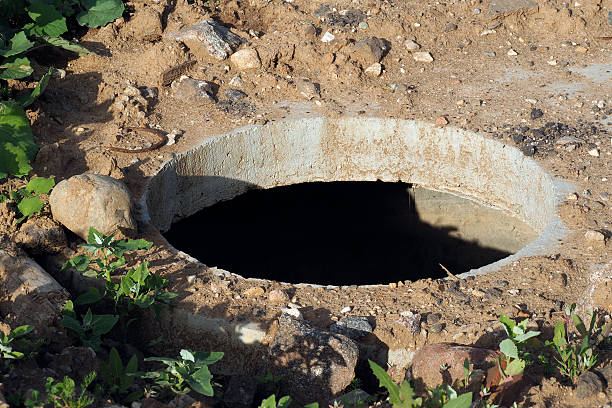 istock Open the hatch. Around the  grass, rocks. coffin 540101922