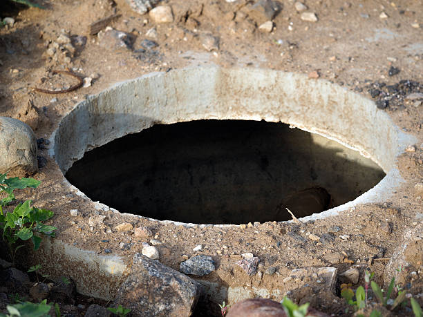 istock Open the hatch. Around the  grass, rocks. coffin 540101976