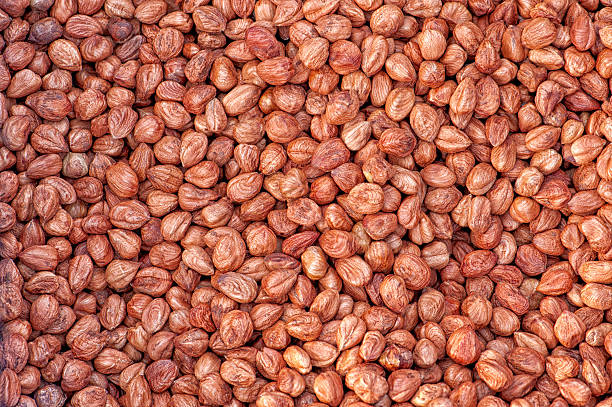Peeled Hazelnuts, hazelnut as background stock photo