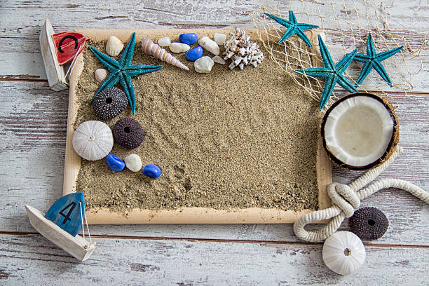 istock Seashells and starfish over white. Vacation concept . 540103330
