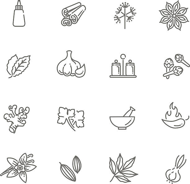 ilustrações, clipart, desenhos animados e ícones de web conjunto de ícones de especiarias, ervas e temperos - herb cooking garlic mint