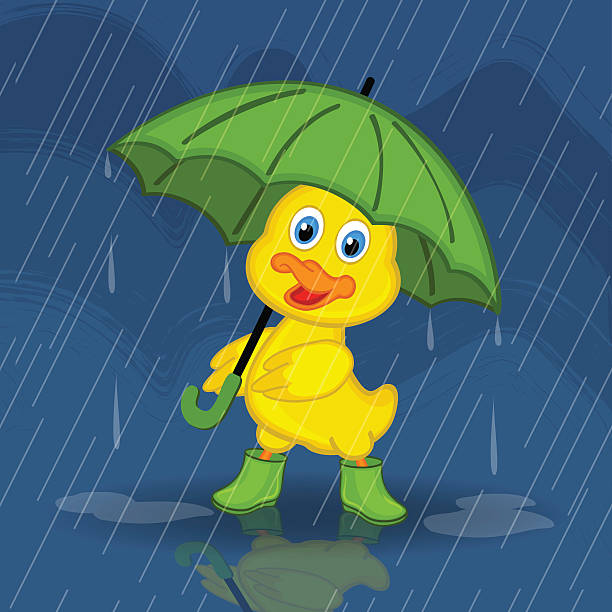 entenküken verstecken von regen mit regenschirm - galoshes stock-grafiken, -clipart, -cartoons und -symbole
