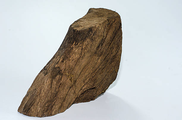 istock Piece of wood, 540106334