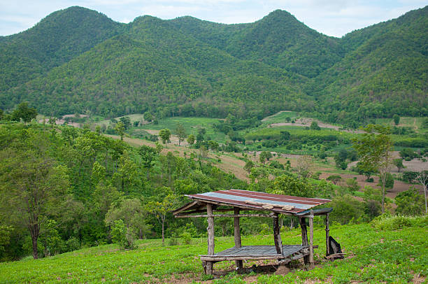 istock Beautiful view of rural landscape. 540106736