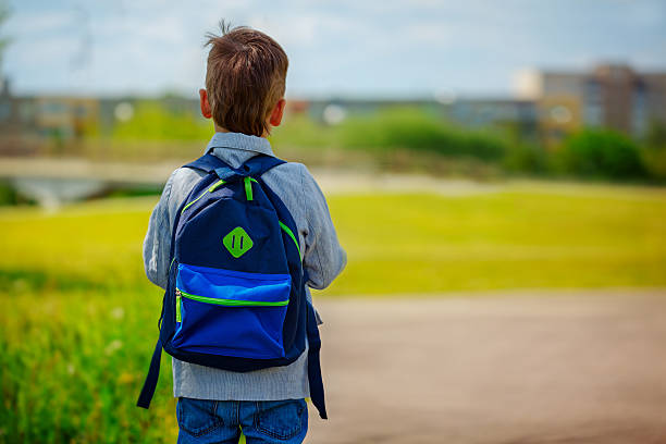 istock Little boy with a backpack go to school. Back view 540106926