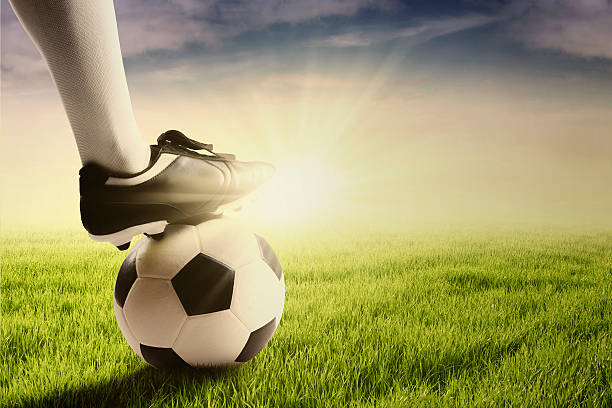 istock Foot with a soccer ball ready to exercise 540107336