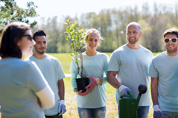istock group of volunteers with tree seedling in park 540107762