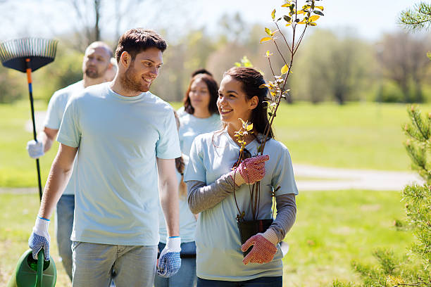 group of volunteers with trees and rake in park volunteering, charity, people and ecology concept - group of happy volunteers with tree seedlings and rake walking in park walking for a cause stock pictures, royalty-free photos & images