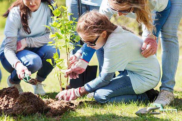 istock group of volunteers planting tree in park 540108070