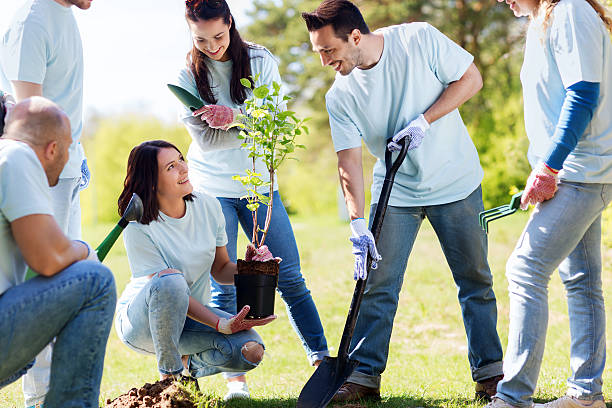 istock group of volunteers planting tree in park 540108138