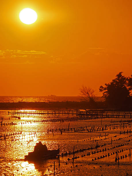 istock Beautiful Sunset at beach in Tainan 540110836