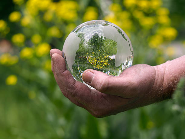istock Glass transparent sphere in hand of man 540115436