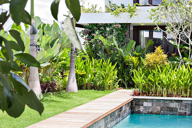 istock Luxury garden with a pool and trees 540124854