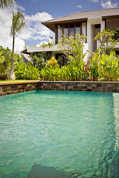 istock Luxury swimming pool closeup with natural garden 540124932
