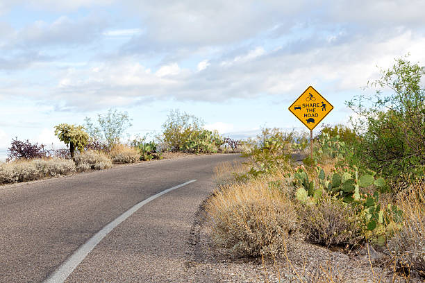 istock National park shared road usages sign 540128662