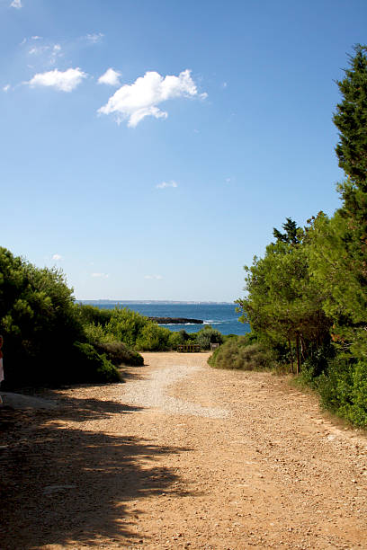 istock Road to porto selvaggio 540132044