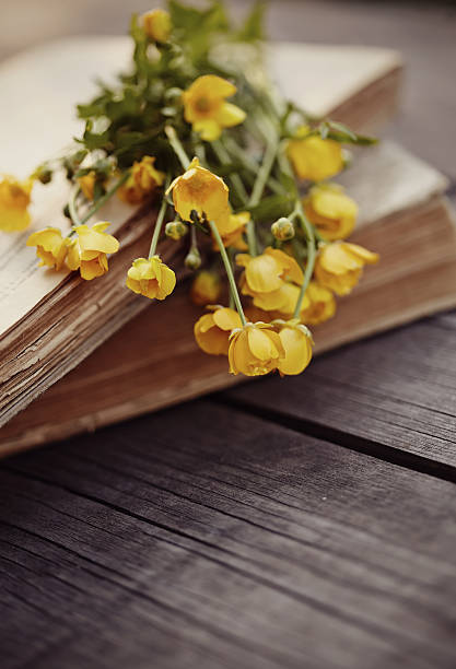 istock Old books and buttercups on a wooden table. 540197494