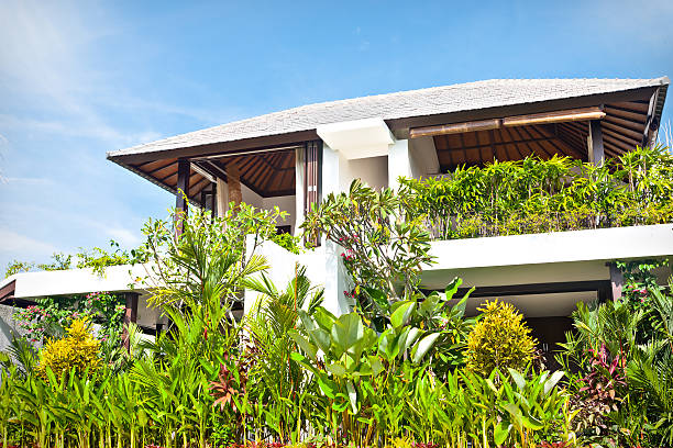 Green ornamental plants garden with a modern hotel