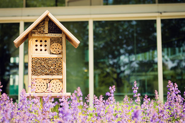 istock Insect hotel or house in a city environment 540198050
