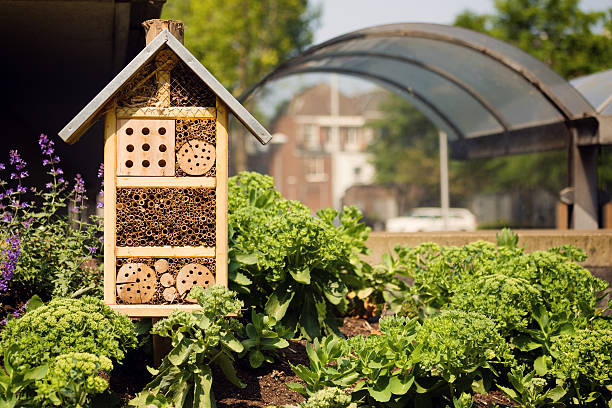 Insect hotel or house in a city environment