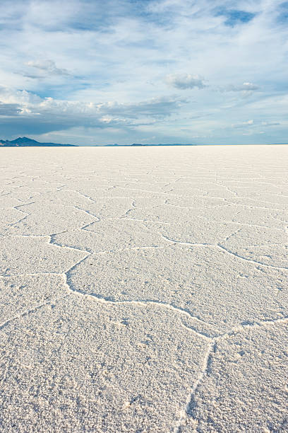 istock Vertical perspective of white Salt Flats in Utah 540198336