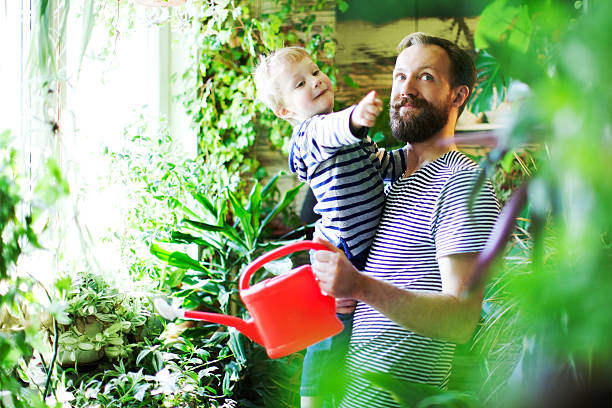 de agua - jardinería fotos fotografías e imágenes de stock