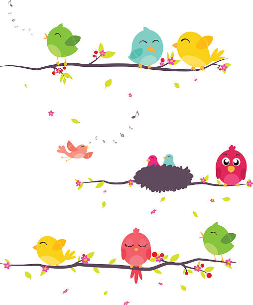 bunte vögel sitzen auf ästen - flower tree spring apple blossom stock-grafiken, -clipart, -cartoons und -symbole