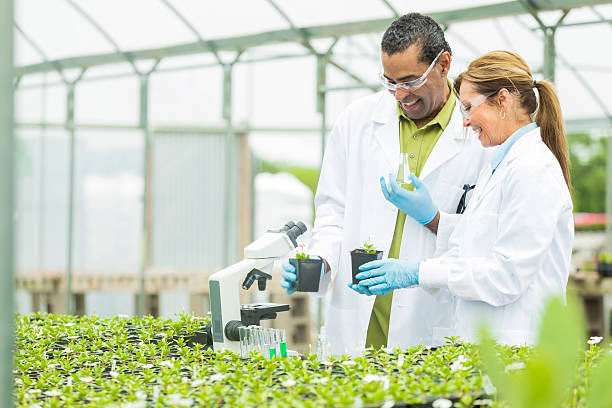 istock Cheerful biologists working in a greenhouse 540199608