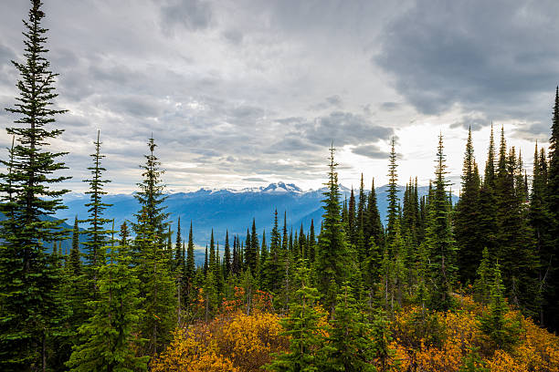 istock Canadian Mountains Landscape 540199636