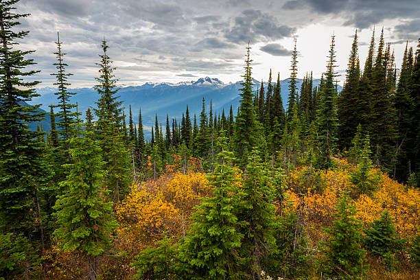 montañas de paisajes canadienses - moraine fotografías e imágenes de stock