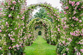 Rose Covered Archways at Elizabeth Park, West Hartford, CT