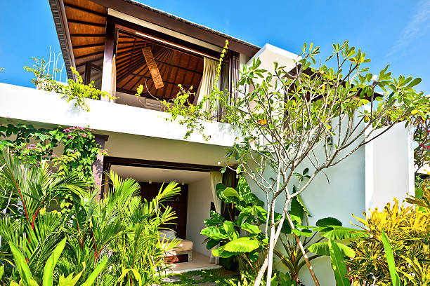 istock Modern house is covered with green color fancy plants 540201174