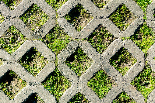 Concrete grid on rhombus shape with grass