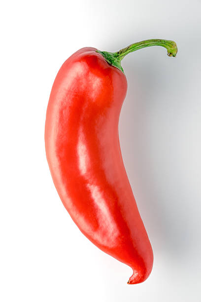 istock Big red pepper with a green branch 540201760