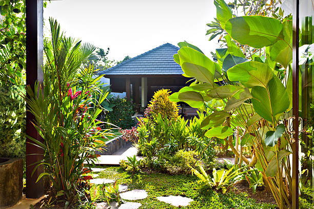 istock Natural garden with green plants and lawn 540201824