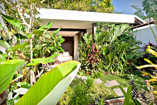 istock Luxury house view from the green garden 540204038