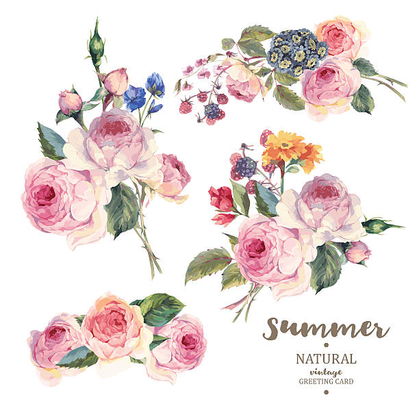 Set of vintage floral vector bouquet of English roses and wildflowers, botanical natural rose Illustration on white. Summer floral roses greeting card